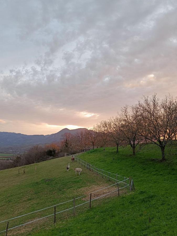 Le Perchoir Du Vercors - Panorama Sur Les Cimes Saint-André-en-Royans Exterior foto